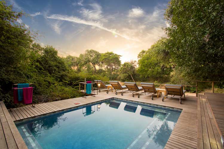 Lodge pool - Bateleur Safari Camp