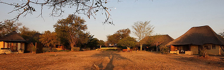 Timbavati Kambaku Safari Lodge Timbavati Game Reserve South Africa