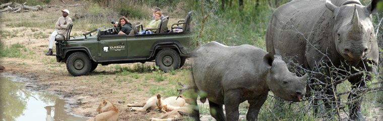 Game Drives Kambaku River Sands Timbavati Game Reserve Thatched Suites Kruger National Park South Africa