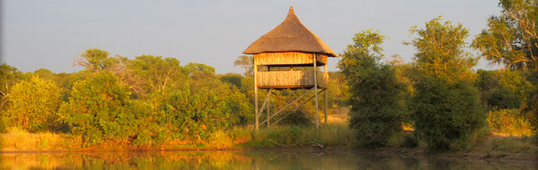 Kambaku River Sands Timbavati Game Reserve Thatched Suites Kruger National Park South Africa