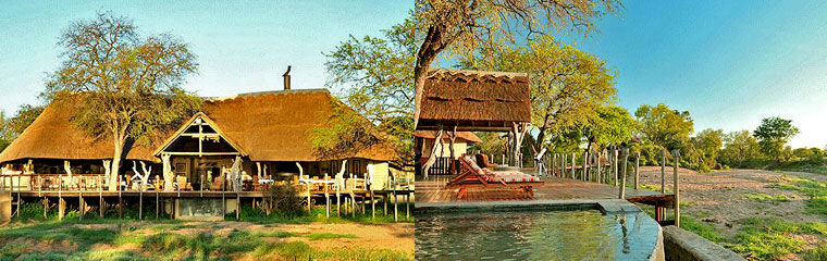 Kambaku River Sands Timbavati Game Reserve Thatched Suites Kruger National Park South Africa