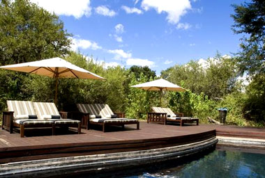 swimming pool Ngala Tented Camp Timbavati Game Reserve Mpumalanga Luxury South African Safari