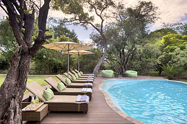 swimming pool Tanda Tula Safari Camp Timbavati Game Reserve Mpumalanga Luxury South African Safari