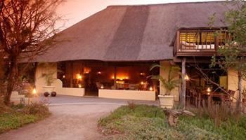 Kambaku Safari Lodge Timbavati Game Reserve Accommodation Bookings Kruger National Park