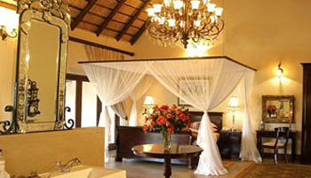 Kings Camp Timbavati Game Reserve Accommodation Bookings Kruger National Park